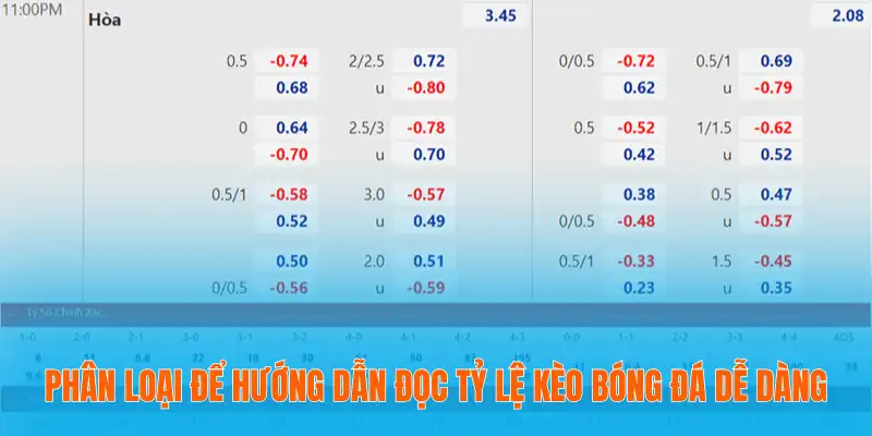 Phân loại để hướng dẫn đọc tỷ lệ kèo bóng đá dễ dàng