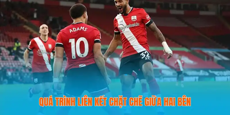 Quá trình liên kết chặt chẽ giữa hai bên