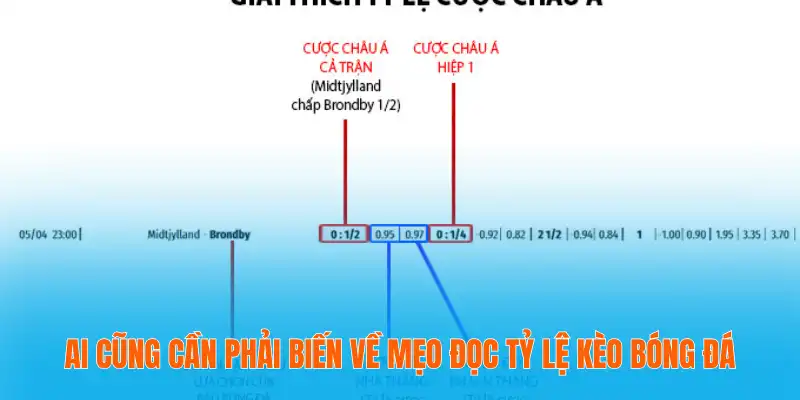 Ai cũng cần phải biến về mẹo đọc tỷ lệ kèo bóng đá
