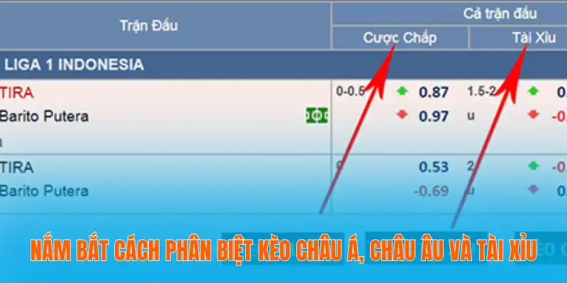 Nắm bắt cách phân biệt kèo châu Á, châu Âu và tài xỉu