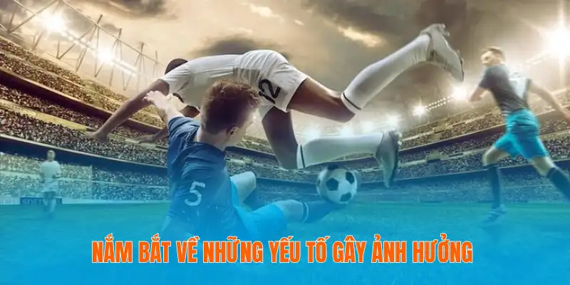 Nắm bắt về những yếu tố gây ảnh hưởng 