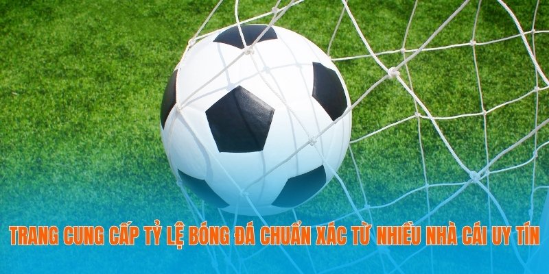 Tỷ lệ bóng đá sử dụng AI để phân tích dữ liệu trận đấu