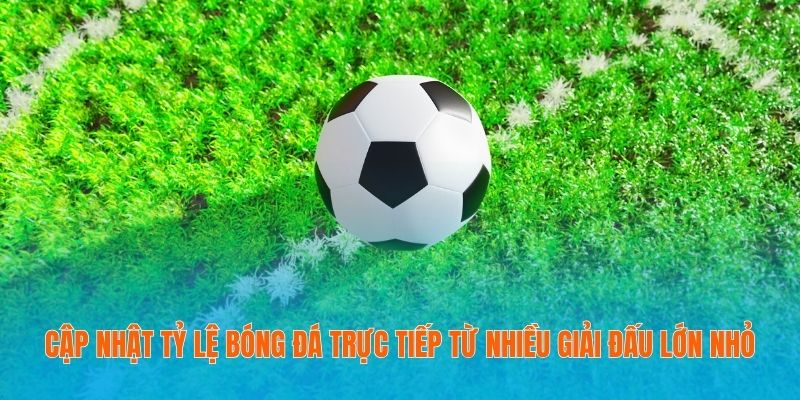 Loại kèo Tài Xỉu dựa vào tổng bàn thắng ghi được trong trận