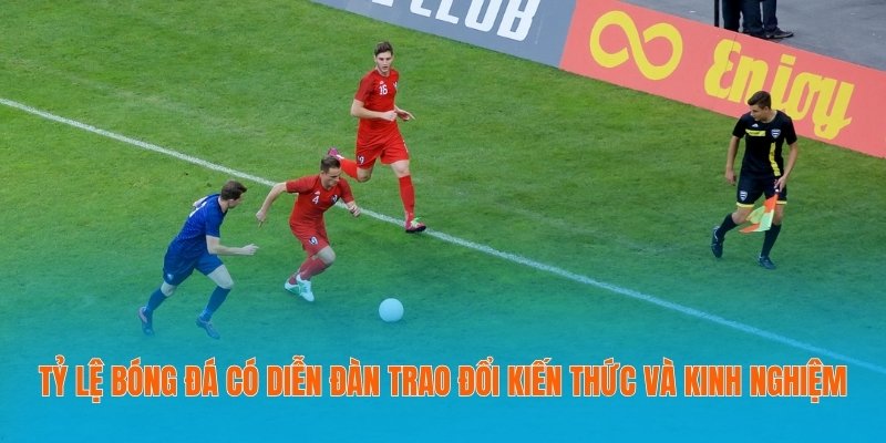 Tỷ lệ bóng đá có diễn đàn trao đổi kiến thức và kinh nghiệm