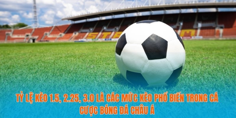 Tỷ lệ kèo 1.5, 2.25, 3.0 là các mức kèo phổ biến trong cá cược bóng đá châu Á