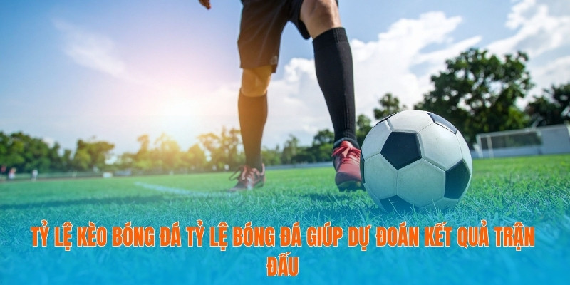 Tỷ lệ kèo bóng đá tỷ lệ bóng đá giúp dự đoán kết quả trận đấu