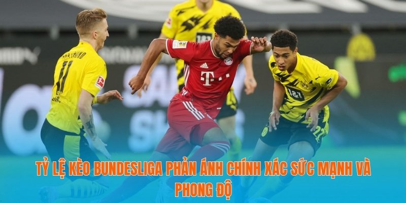 Tỷ lệ kèo Bundesliga phản ánh chính xác sức mạnh và phong độ