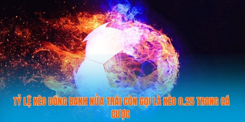 Tỷ lệ kèo đồng banh nửa trái còn gọi là kèo 0.25 trong cá cược 