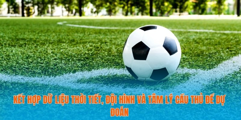 Kết hợp dữ liệu thời tiết, đội hình và tâm lý cầu thủ để dự đoán