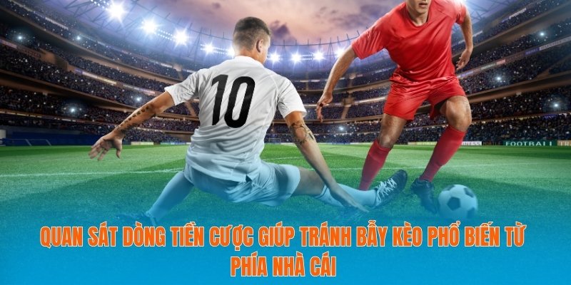 Quan sát dòng tiền cược giúp tránh bẫy kèo phổ biến từ phía nhà cái