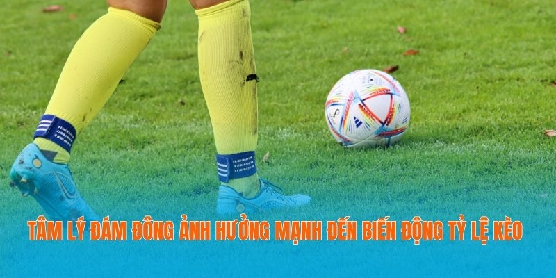Tâm lý đám đông ảnh hưởng mạnh đến biến động tỷ lệ kèo 