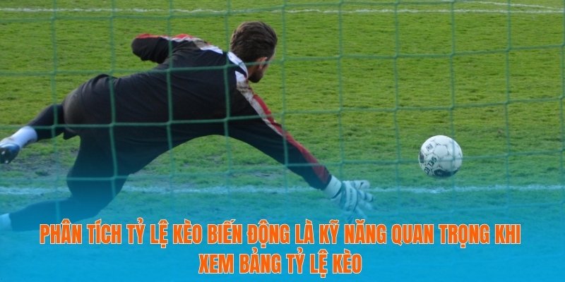 Phân tích tỷ lệ kèo biến động là kỹ năng quan trọng khi xem bảng tỷ lệ kèo
